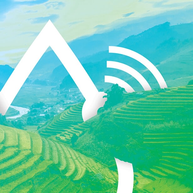 Arad 360 branding and digital